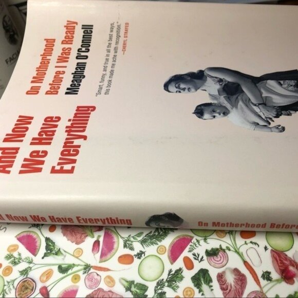 And Now We Have Everything Motherhood Memoir New Book Gift for Pregnancy - Picture 11 of 15